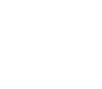 Skill With Earn Logo